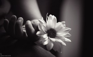 black-and-white-flower-photography-pretty-Favim.com-175985